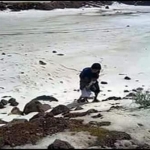 %d8%a7%d9%84%d8%ab%d9%84%d9%88%d8%ac-1