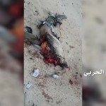 مشاهد-حصل-عليها00_00_2520170403-221646-1-150x150